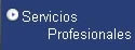 Servicios Profesionales